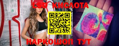 Альфа ПВП Краснознаменск