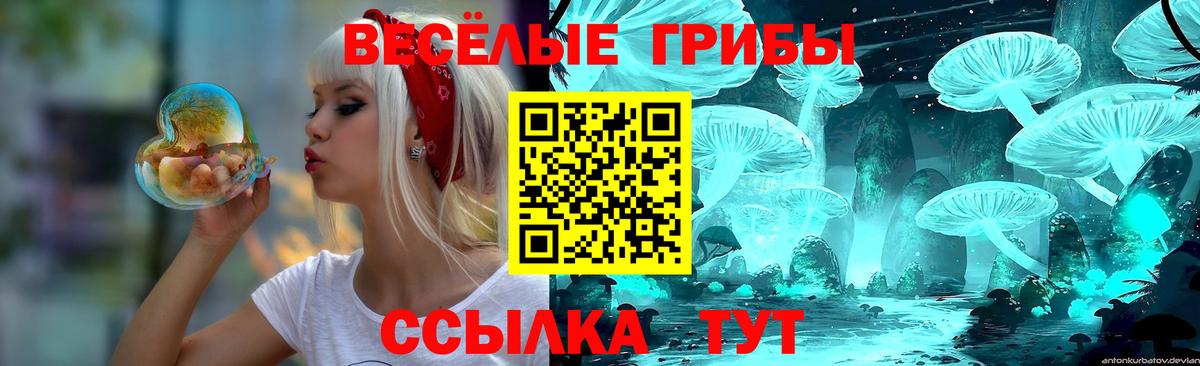 Избербаш  Псилоцибиновые грибы MAGIC MUSHROOMS  Галлюциногенные грибы мухоморы  Вход с VPN 