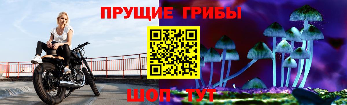 Галлюциногенные грибы мухоморы Избербаш